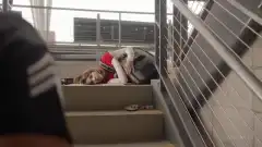 911 служба спасения / 9-1-1 6 сезон 1 серия